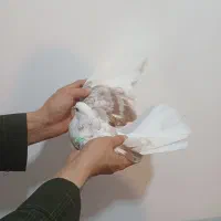 کبوتر گرفته