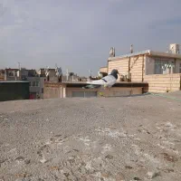 یهودی سبز|پرنده|شاندیز, |دیوار