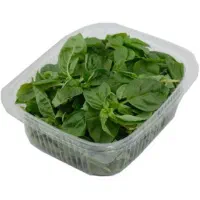 ماست و خیار ریحون تفاله پیاز بسته بندی|خوردنی و آشامیدنی|مشهد, ولیعصر (شهرک غرب)|دیوار