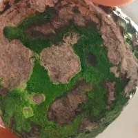 سنگ باستانی