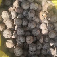 گردومحلی بافت|خوردنی و آشامیدنی|زرند, |دیوار