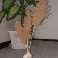 گل و گلدان تزئینی|گل مصنوعی|مریوان, |دیوار