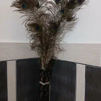 پر طاووس به همراه گلدان|گل مصنوعی|دزفول, |دیوار