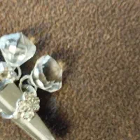 نقره|جواهرات|رشت, پستک|دیوار