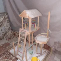پارک پرنده