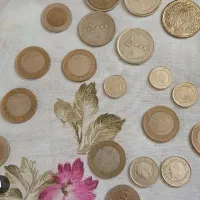 تعدادی سکه لیر ترکیه قیمت توافقی