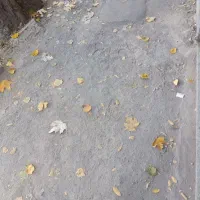 درخواست مشارکت