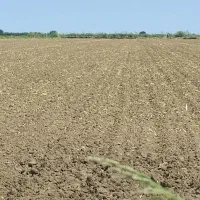 اجاره سیر کانال الL دریچه۵ نزدیک اجیرلوقوجه بیگلو|اجارهٔ دفتر صنعتی، کشاورزی، تجاری|پارس‌آباد, |دیوار