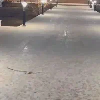 باغ-گزبرخوار