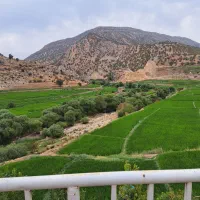 سوئیت و ویلا اجاره ای|اجارهٔ کوتاه‌مدت آپارتمان و سوئیت|منج, |دیوار