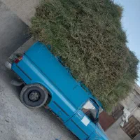 نیسان دیزل مدل ۸۹|خودرو سواری و وانت|قوچان, |دیوار