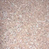 تخم علف محلی