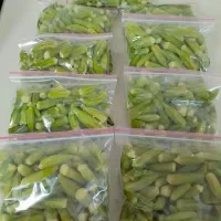 بامیه ولوبیا فرنگی ونخود فرنگی وذرت بلانچ