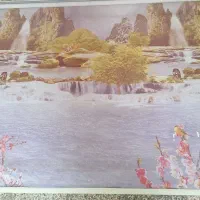 زبرا