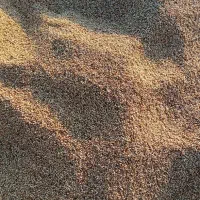 دو تن ارزن تمیز