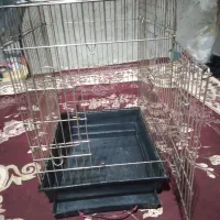 گوشی پیدا شده|اشیا|خمک, |دیوار