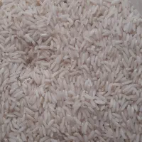 برنج طارم درجه یک جاده قایم شهر