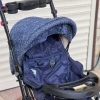 کالسکه دلیجان|کالسکه و لوازم جانبی|تولم شهر, |دیوار