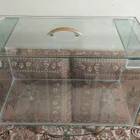 اکواریوم نو|ماهی|تهران, مسعودیه|دیوار