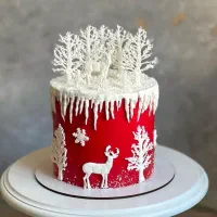 کیک تولد و مناسبتی خانگی|خدمات پذیرایی، مراسم|کرمانشاه, |دیوار