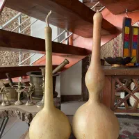 کدو تزئینی|صنایع دستی و سایر لوازم تزئینی|تهران, افسریه شمالی|دیوار