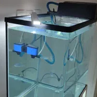 اکواریوم