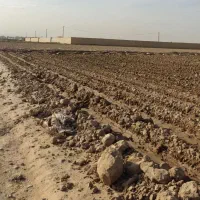 زمین ملکی 2 قطعه