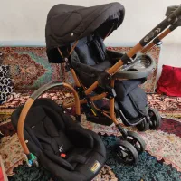 کالسکه وکریر دلیجان|کالسکه و لوازم جانبی|تهران, شهمیرزادی|دیوار