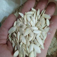 تخمه تبریز|خوردنی و آشامیدنی|همدان, |دیوار