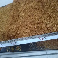 پیاز داغ|خوردنی و آشامیدنی|رشت, لاکان شهر|دیوار