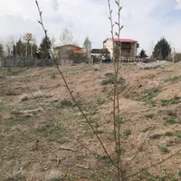 ۱۰۰۰متر زمین کردان کوهسار،موقعیت عالی سرمایه گذاری|فروش زمین و ملک کلنگی|کرج, برغان|دیوار