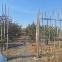 زمین-باغ-باغستان-ثامن-چاهشک-387متری