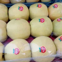 سیب درختی خراسان|خوردنی و آشامیدنی|تهران, گرگان|دیوار