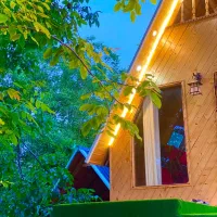 کلبه-سوئیسی