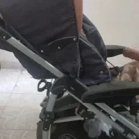 کالاسکه قیمت مناسب|کالسکه و لوازم جانبی|تهران, ده‌ونک|دیوار