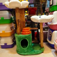 انواع اسکرچر گربه بچه بالغ تخته خراش استراحتگاه