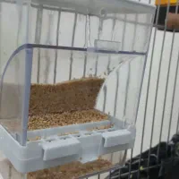 جادونی مکانیزه