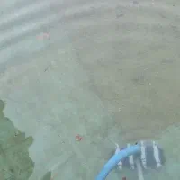 جارو استخر و نظافت