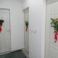 جویای کار