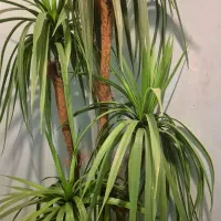 درختچه مصنوعی