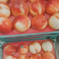 استخدام شاگرد در میوه فروشی