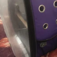 کوله عروس هلندی