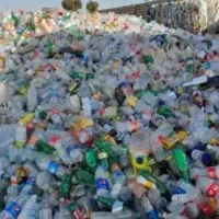 ضایعاتی کاشانی