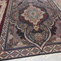 دومدل فرش ۹متری|فرش|گرگان, |دیوار