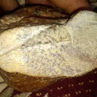 سنگ|کلکسیون اشیاء عتیقه|ترکمانچای, |دیوار