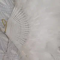 لباس عروس|لباس|رودهن, |دیوار