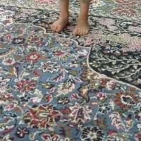 قالی 3/4 پانصد شانه
