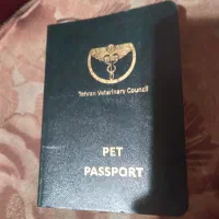 واگذاری سگ نگهبان درجه یک اصل فقط به آدم موجه