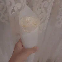 گل روبانی|گل مصنوعی|خوی, |دیوار