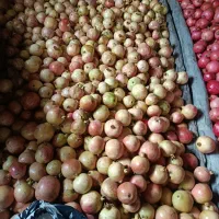 انار قره داغ